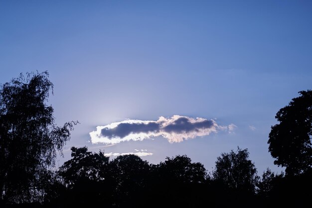 Sole dietro la nuvola al tramonto e sagome di alberi in primo piano