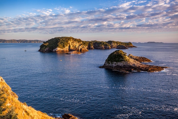 Sole mattutino lungo la costa di Coromandel in Nuova Zelanda