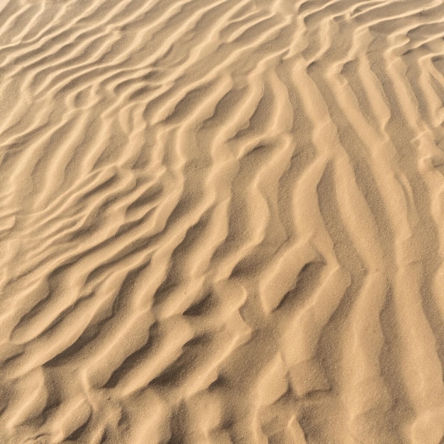 Sole senza cuciture di struttura della sabbia di mare di estate