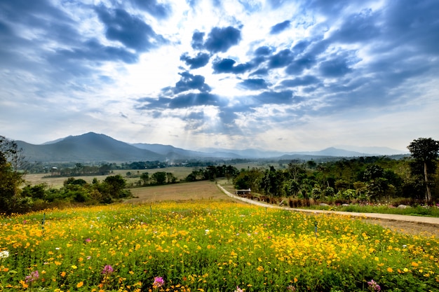 Sole sopra la valle