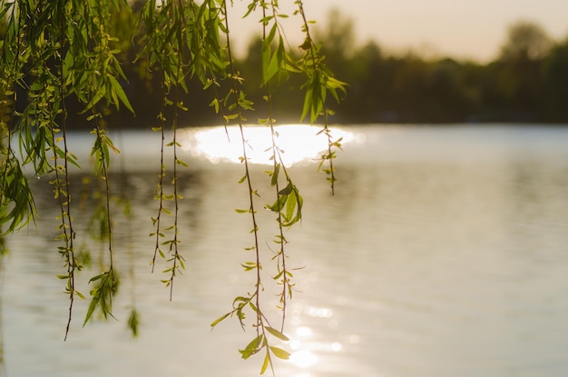 Sole sul lago