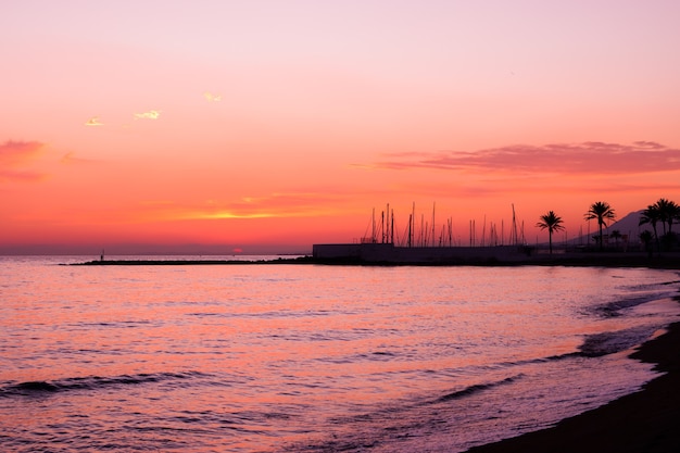 Sole sulla costa del mare, la natura è dipinta nelle sfumature arancioni del sole. Sullo sfondo della natura.