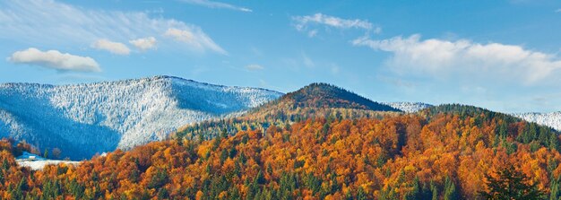 Soleggiata foresta di montagna autunnale e primo gelo autunnale sugli alberi in cima alla montagna