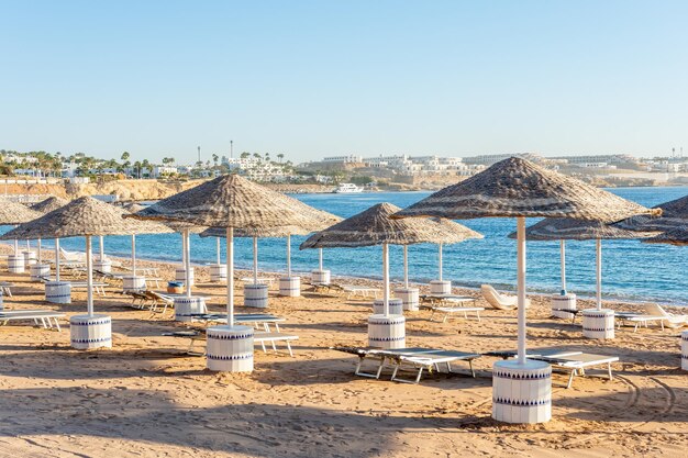 Soleggiata spiaggia del resort con palme sulla costa del Mar Rosso a Sharm el Sheikh Sinai Egitto Luce solare brillante