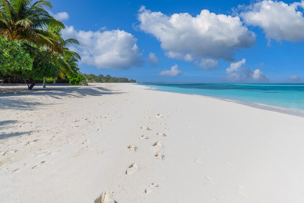 Soleggiata spiaggia tropicale con gradini in sabbia bianca e palme alle Maldive. Costa delle impronte