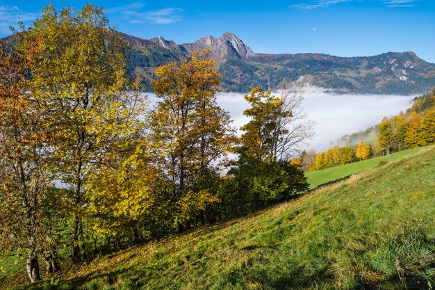 Soleggiato e idilliaco scenario alpino autunnale Tranquilla mattina nebbiosa vista sulle montagne delle Alpi dal sentiero escursionistico da Dorfgastein ai laghi Paarseen Land Salisburgo Austria Pittoresca escursione e scena concettuale stagionale