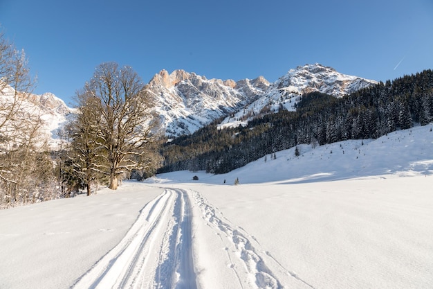 Soleggiato paesaggio invernale nella natura Catena montuosa sentiero alberi innevati sole e cielo blu