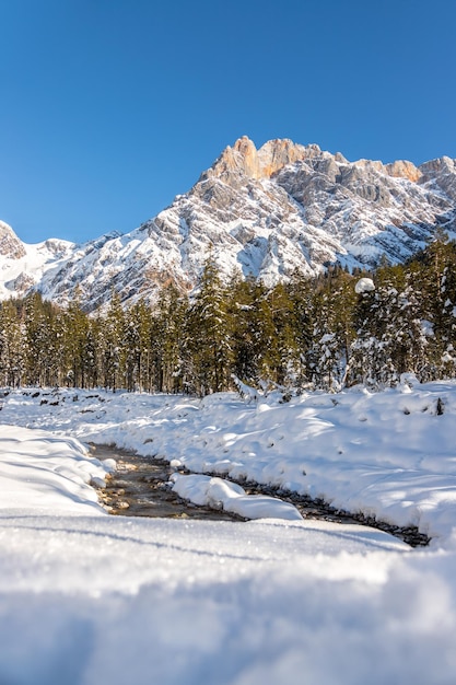 Soleggiato paesaggio invernale nelle Alpi Catena montuosa fiume alberi innevati sole e cielo blu