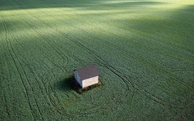 Solitudine nei campi Una casa solitaria tra verdi pascoli