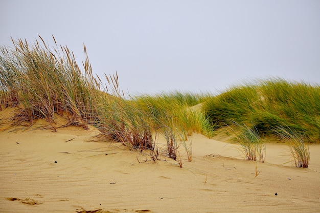 solitudine sulla spiaggia