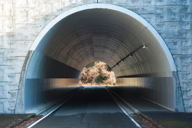 Solo un semplice tunnel pedonale e automobilistico nella città di Fuji in Giappone