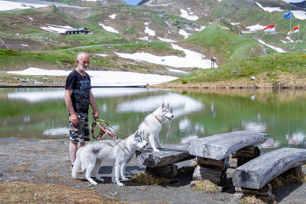 Sono seduti tre cani. Uno stormo di Siberian Husky.