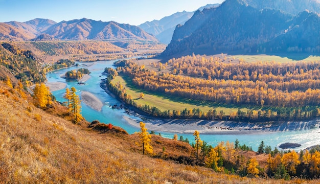 Sopra una gola di montagna con un fiume d'autunno