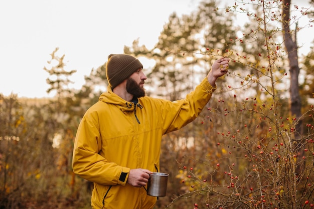 Sopravvivenza in natura Un uomo raccoglie rosa canina nella foresta