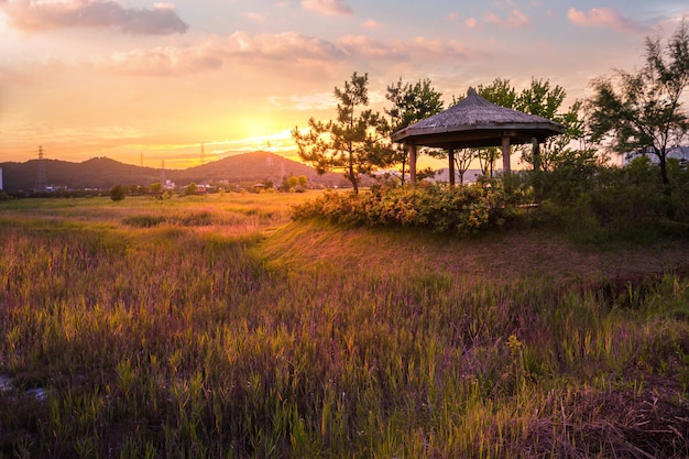 Sorae ecology wetland park, bel tramonto e mulini a vento tradizionali, incheon Corea del sud