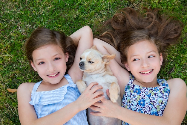 sorelle gemelle che giocano con il cane della chihuahua che si trova sul prato inglese