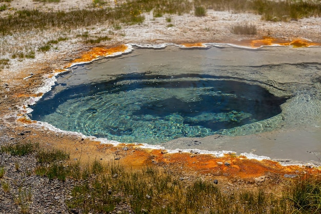 Sorgente calda nel parco nazionale di pietra gialla negli Stati Uniti