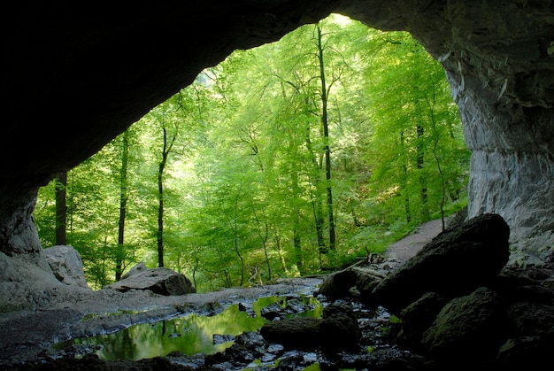 Sorgente del fiume La Bidouze nei Pirenei baschi francesi Francia