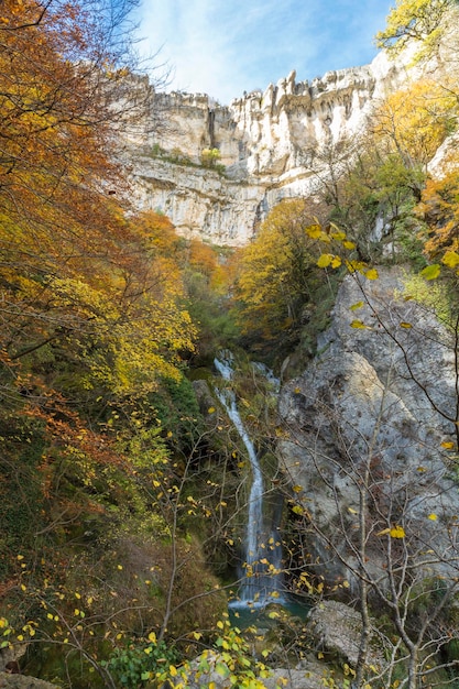 Sorgente del fiume Urederra nata in una falda acquifera nelle montagne della Riserva Naturale di UrbasaAndia nei Paesi Baschi in Spagna