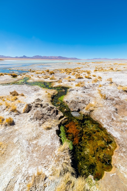 Sorgente di acqua calda variopinta delle Ande, Bolivia