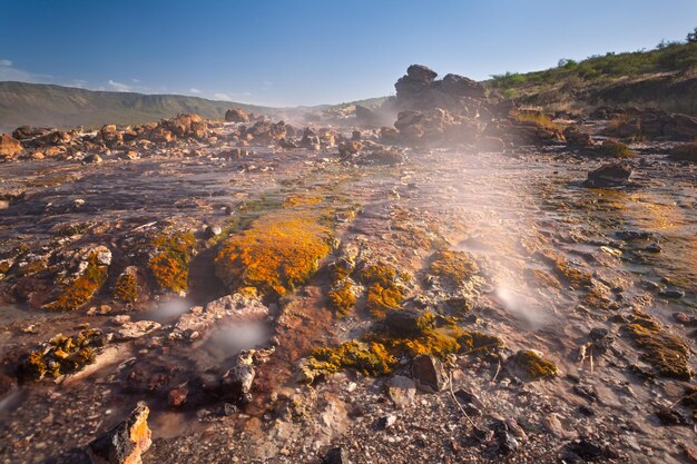 Sorgenti Calde Colorate Al Lago Bogoria Kenya