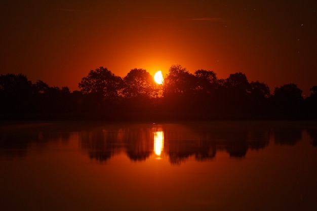 Sorgere della luna nel parco nazionale Prypiacki, Bielorussia