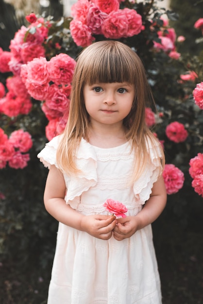 Sorridente bella ragazza ragazzo carino 45 anni tenere rosa rosa fiore su cespuglio in fiore in giardino