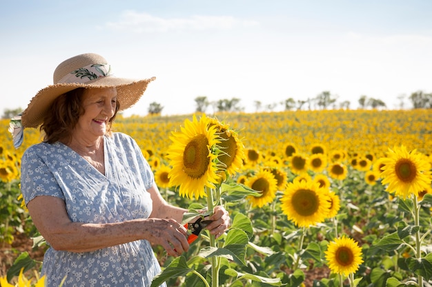 Sorridente donna anziana con cesoie per potatura in un campo di girasoli.