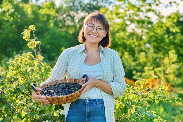 Sorridente donna di mezza età che tiene un cesto di ribes nero maturo Raccolta di ribes in giardino Coltivazione di bacche organiche sane stagione estiva agricoltura agricola concetto di cibo vitaminico