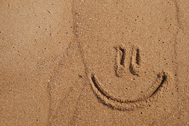 Sorridi faccia sulla sabbia
