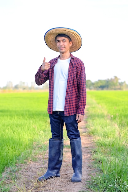 Sorriso e pollici asiatici dell'uomo del coltivatore in su all'azienda agricola del riso verde.