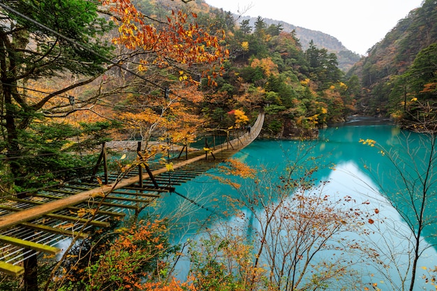 Sospensione del ponte di legno sopra Green River nella stagione naturale Giappone di autunno della foresta