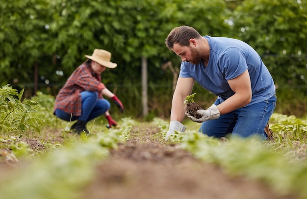 Sostenibilità coltivatore crescita delle piante o responsabilità ambientale lavoratori che piantano piante ecologiche verdi nella terra o nel suolo Coppia uomo o donna del giardino in agricoltura campo di campagna o natura terra