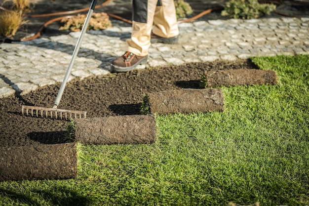 Sostituzione dell'erba naturale dall'industria professionista del giardinaggio