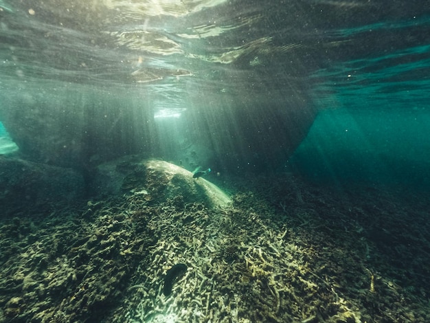 Sott'acqua in spiaggia sull'isola