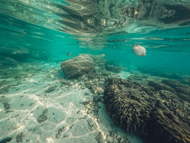 Sott'acqua in spiaggia sull'isola