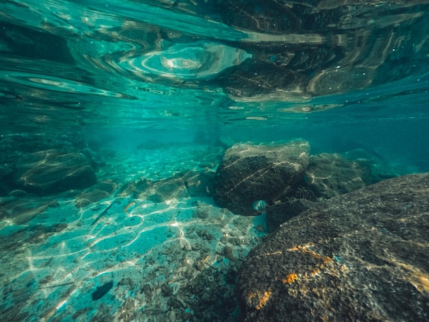 Sott'acqua in spiaggia sull'isola