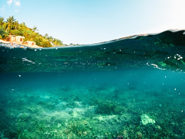 Sotto il mare e la baia di Koh Tao