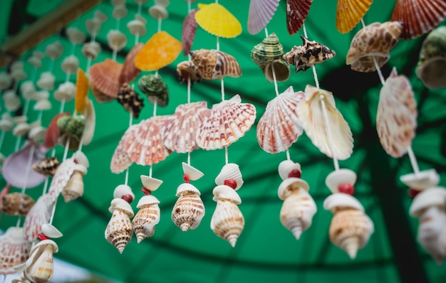 Souvenir fatto a mano decorato con diverse conchiglie di mare