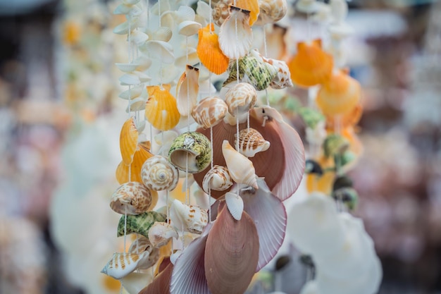 Souvenir fatto a mano decorato con diverse conchiglie di mare