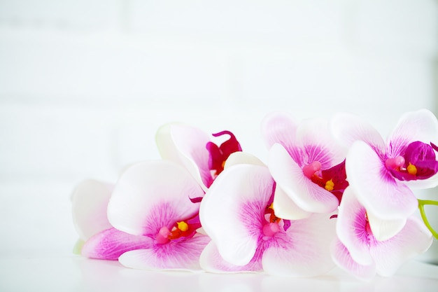 Spa e benessere scena, fiore di orchidea sul pastello in legno