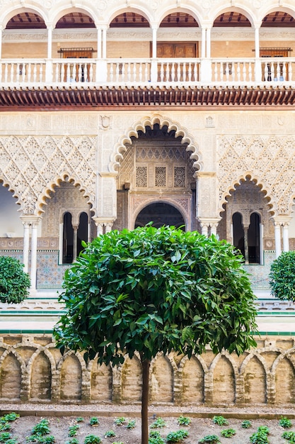 Spagna, regione dell'Andalusia. Dettaglio del giardino del palazzo reale di Alcazar a Siviglia.