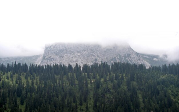 spazio del fiume cielo di pietra