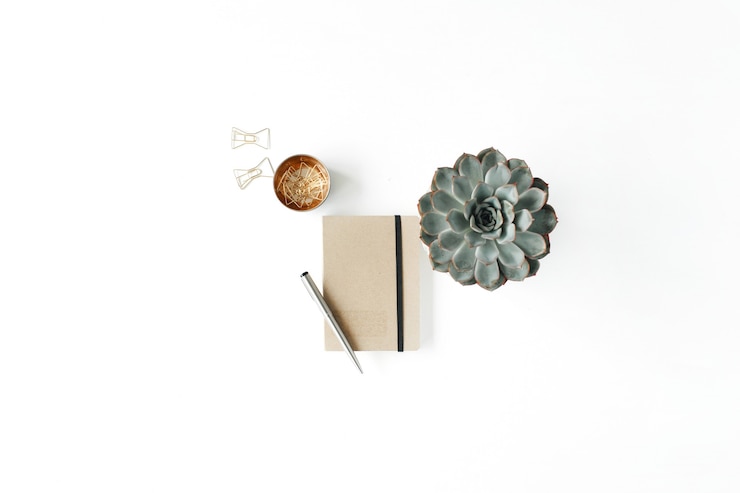 Foto spazio di lavoro femminile per l'home office con succulente, diario e clip dorate