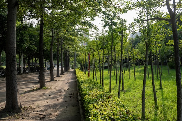 Spazio verde e strade nel parco