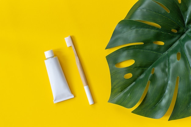 Spazzola di bambù naturale eco-compatibile, tubetto di dentifricio e foglia tropicale.