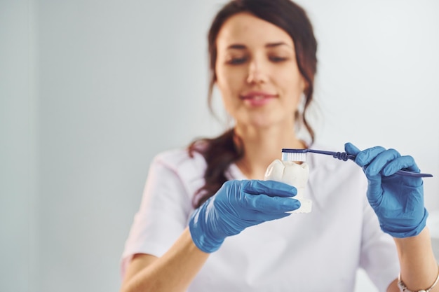 Spazzola e dente Ritratto di dentista professionista femminile con attrezzatura in piedi all'interno