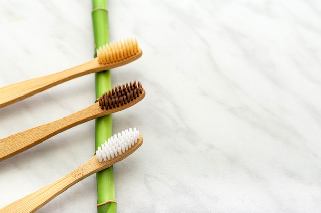 Spazzolini da denti di bambù, pianta di bambù su fondo di marmo bianco. Disposizione piatta. Prodotti da bagno naturali.Spazzolino da denti in bambù naturale biodegradabile.Eco friendly, Zero rifiuti, cure odontoiatriche Concetto senza plastica.