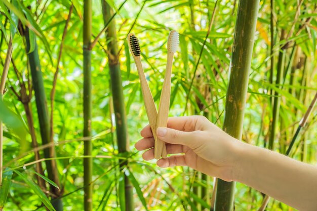 Spazzolino da denti di bambù su uno sfondo di bambù verde in crescita