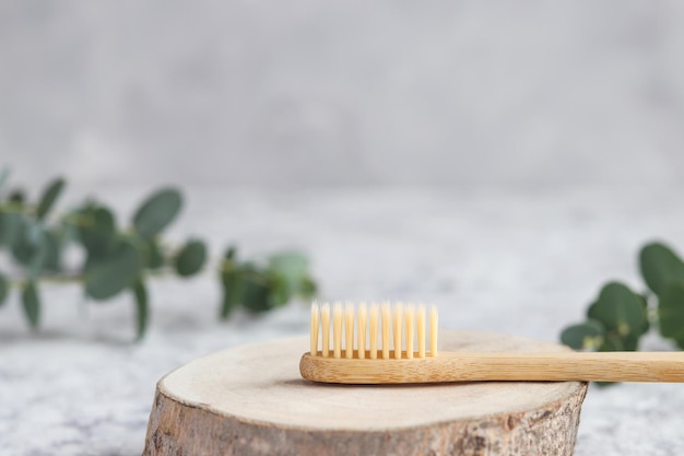 Spazzolino da denti in bambù ecologico su un taglio di legno e una foglia di eucalipto contro il muro grigio con spazio per la copia